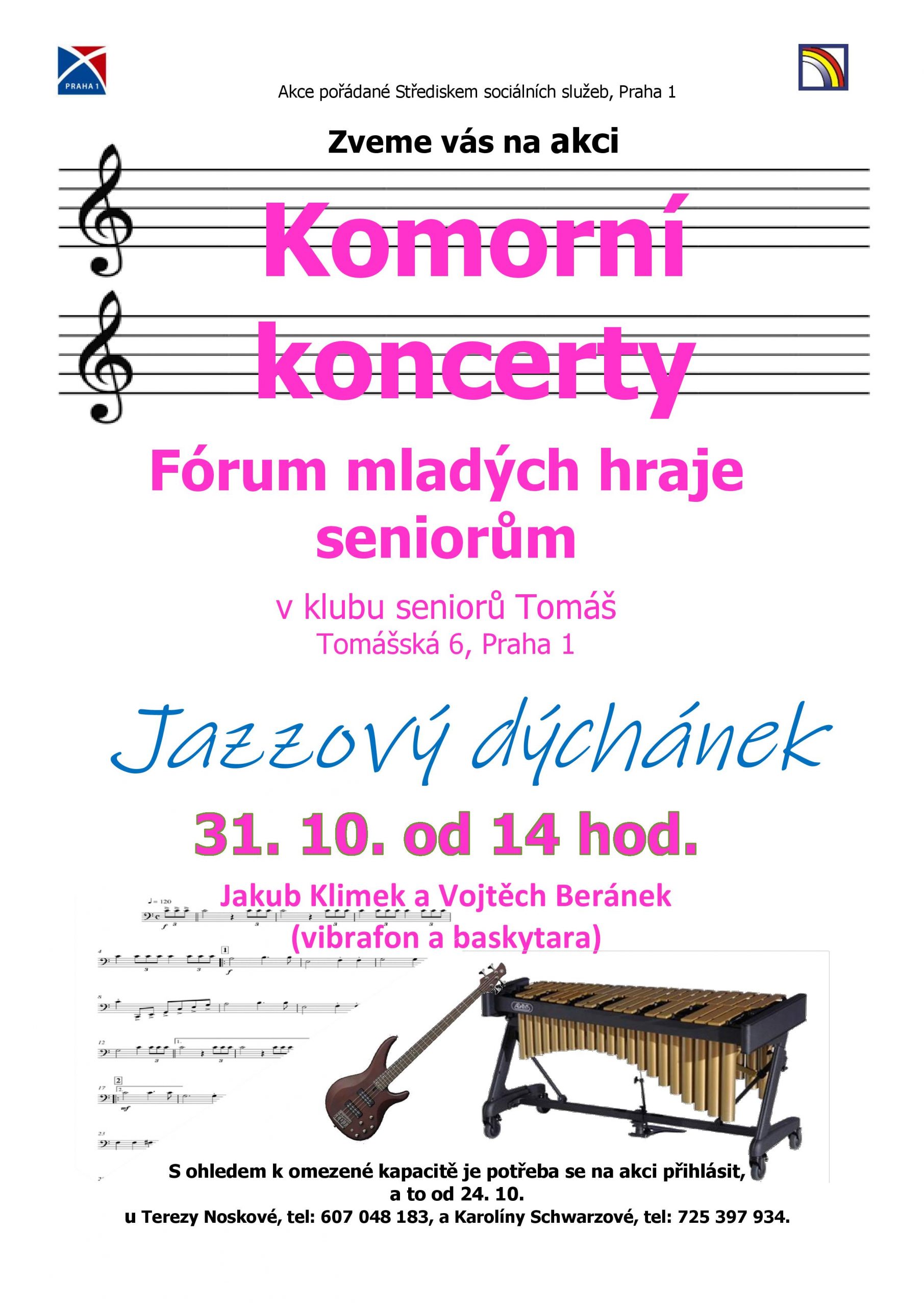 Komorní koncert: Jazzový dýchánek - vibrafon a baskytara